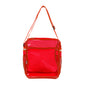 Clear Messenger Bag