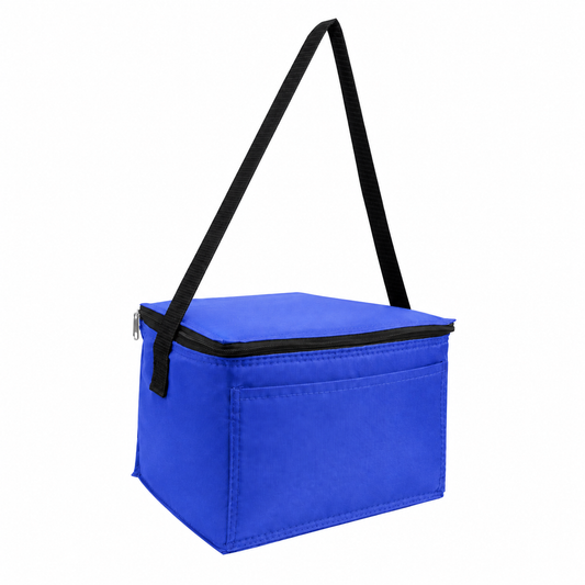 6-Can Lunch Cooler Bag