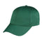 DarkGreen