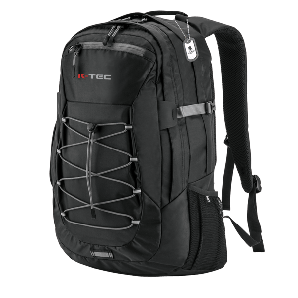 Deluxe Sport Laptop Backpack